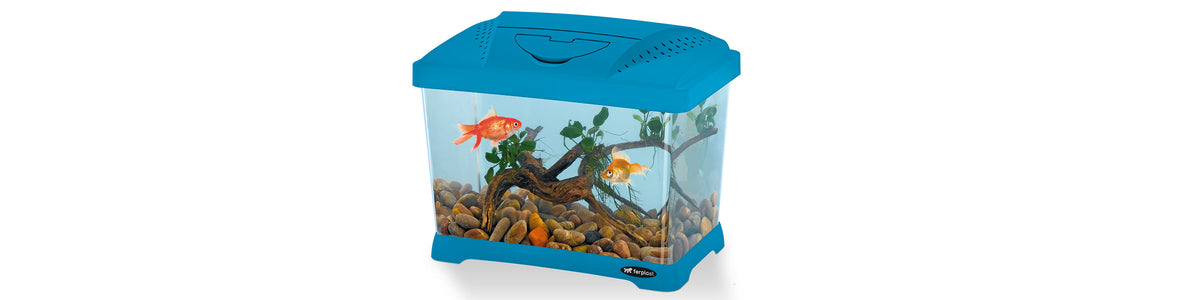 PLASTIC AQUARIUMS AND FISH TANKS