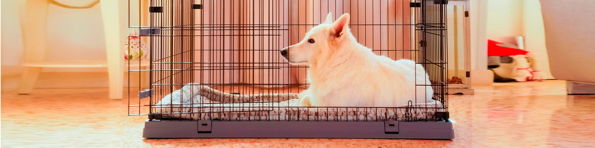 Cage Ferplast Plastic Metal/Plastic