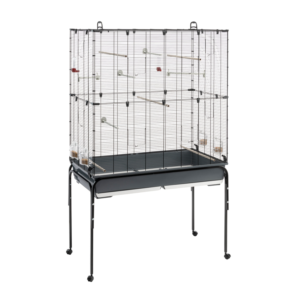 PLANETA Ferplast | Ferplast Official