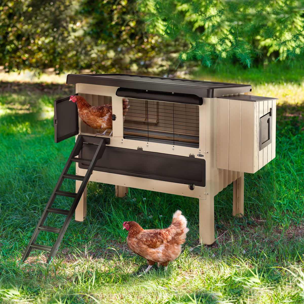 HAPPY FARM 120 Ferplast | Ferplast Official