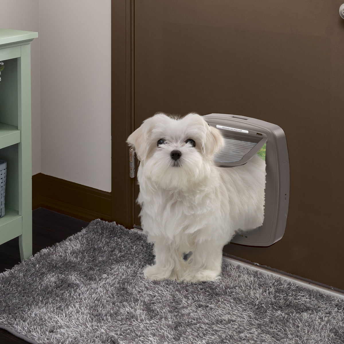 Microchip Small Dog Door Flap SureFlap Microchip Dog Door Glass