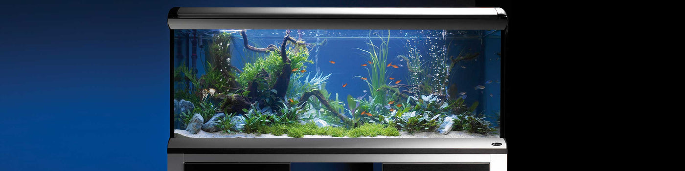 GLASS AQUARIUMS AND FISH TANKS