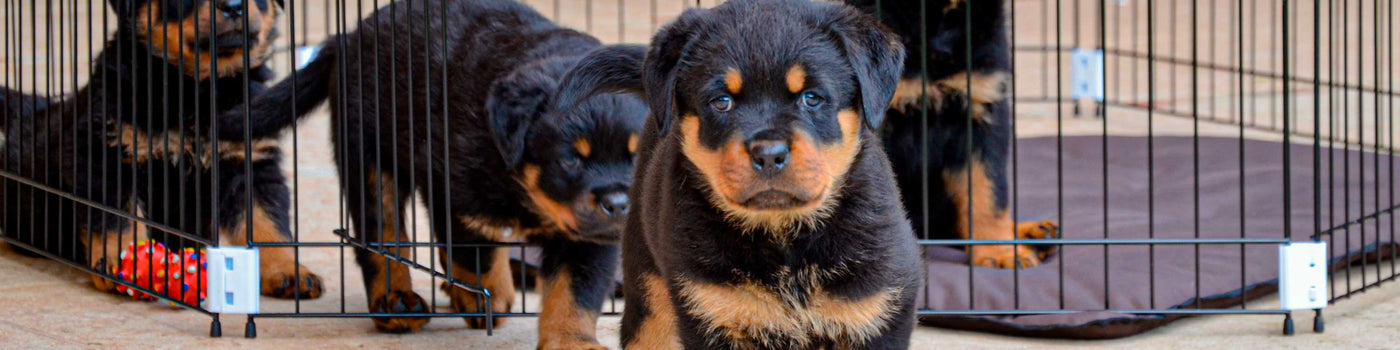 DOG PENS, CRATES AND FLAPS