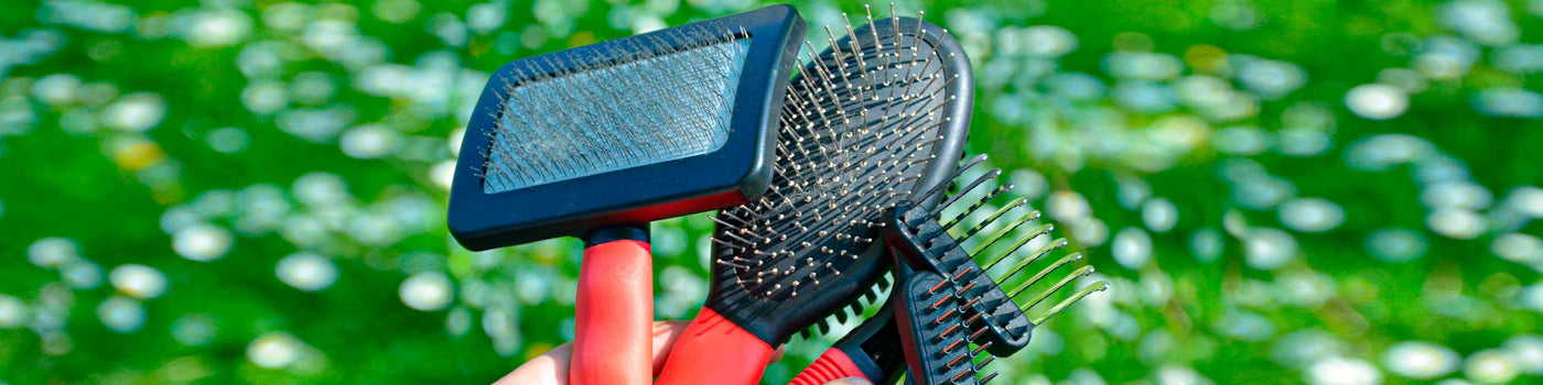 DOG BRUSHES AND COMBS