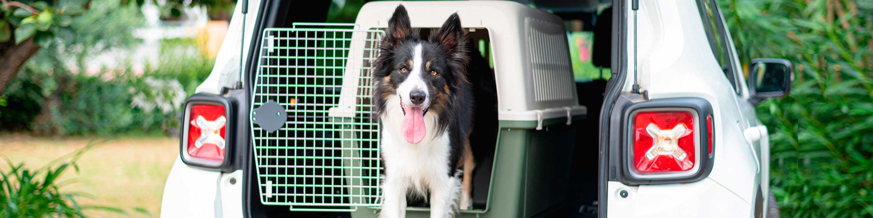 DOG CRATES AND CARRIERS | Ferplast Official - ATLAS CAR