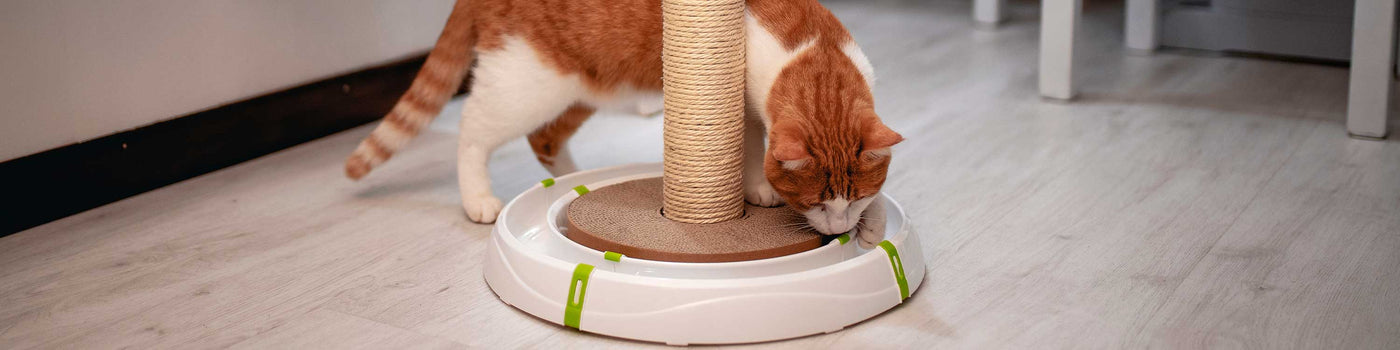 CAT INTERACTIVE TOYS