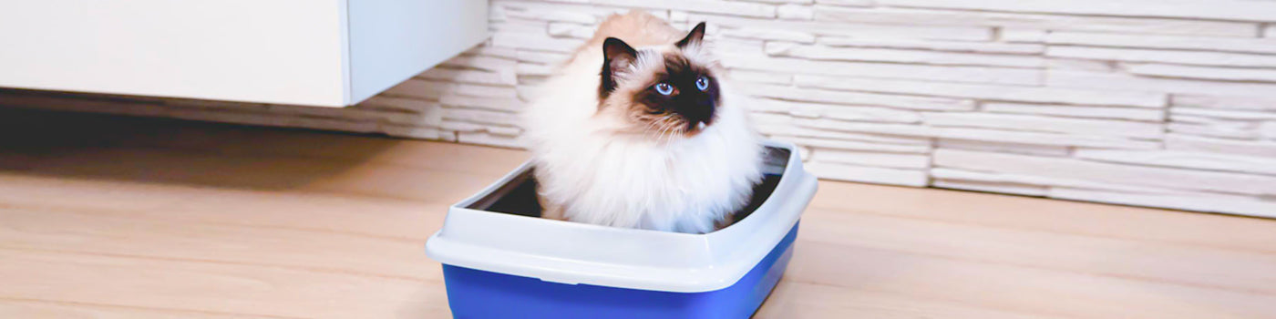 CAT LITTER TRAYS