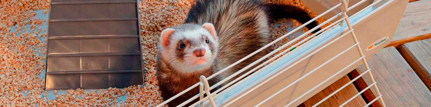 FERRET CAGES