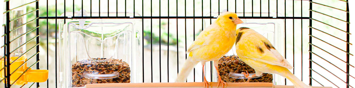 NESTS, FEEDERS, DRINKING BOTTLES