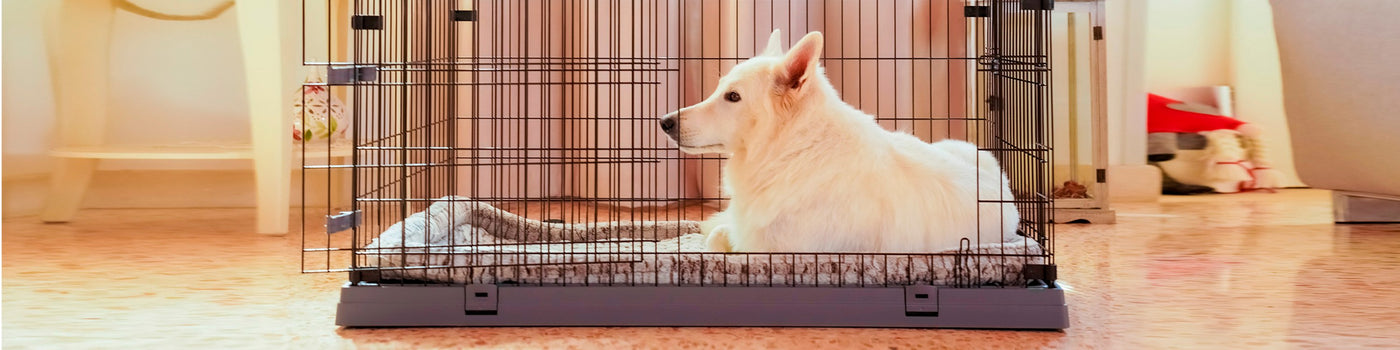 DOG CRATES