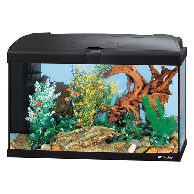 CAPRI 60 LED - 60 L