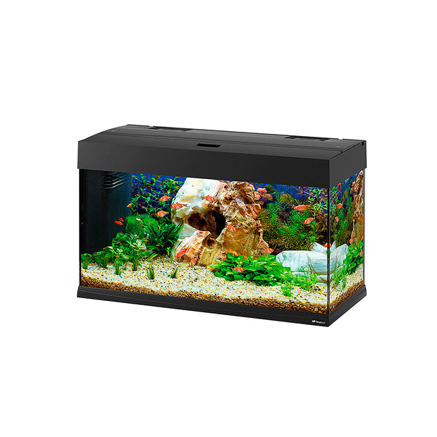 DUBAI 80 LED - 125 L