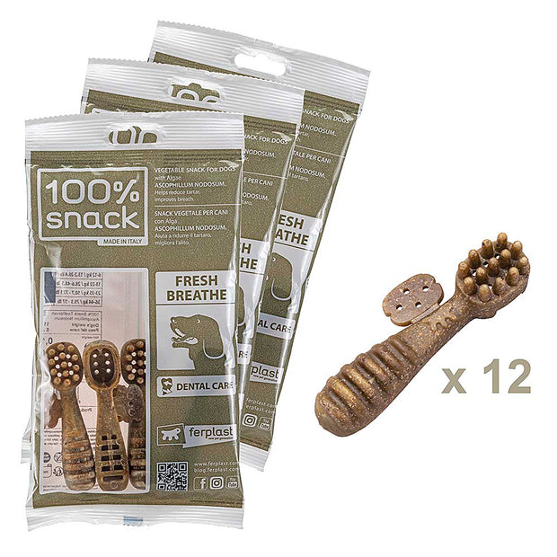 100% SNACK FILLABLE - TOOTHBRUSH ASCOPHILLUM
