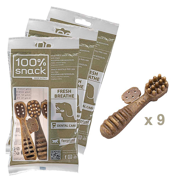 100% SNACK FILLABLE - TOOTHBRUSH ASCOPHILLUM