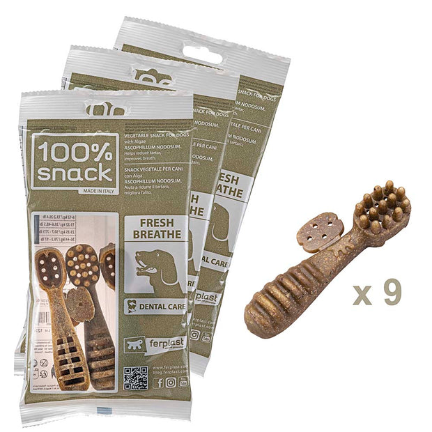 100% SNACK FILLABLE -  TOOTHBRUSH ASCOPHILLUM