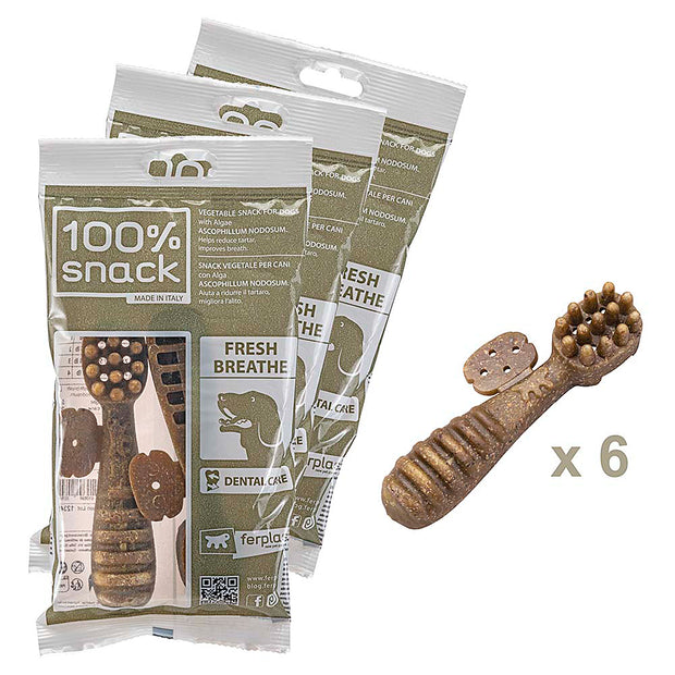 100% SNACK FILLABLE - TOOTHBRUSH ASCOPHILLUM