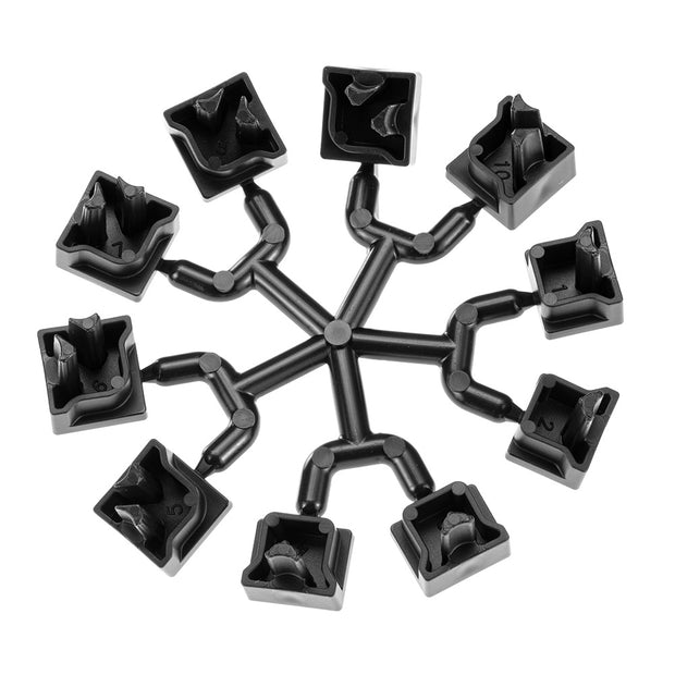 MULTIPLA HAMSTER Feet