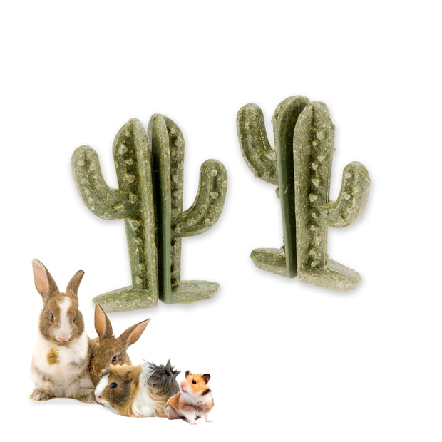 VEGGIE BITES CACTUS    