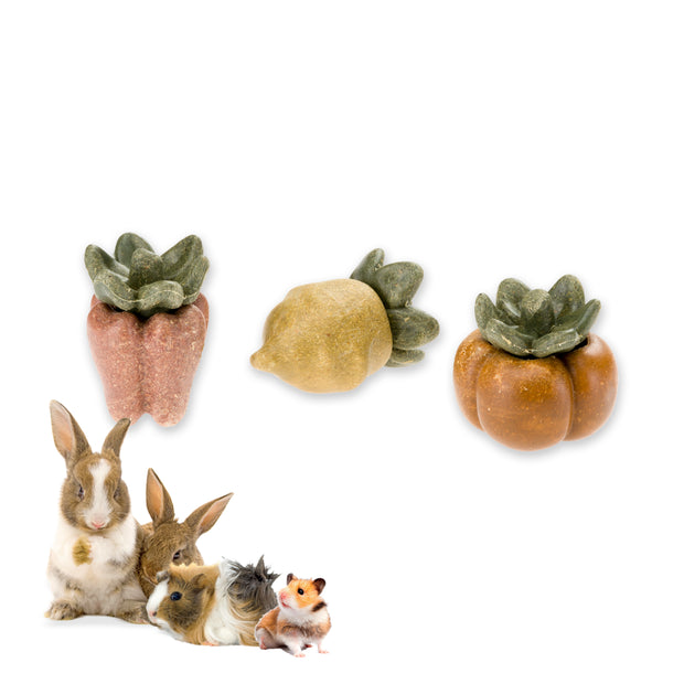VEGGIE BITES VEG           