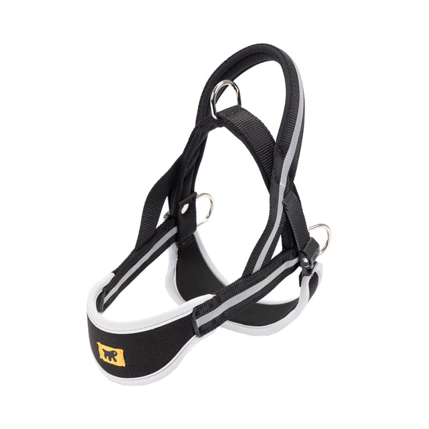 ERGOCOMFORT NORDIC