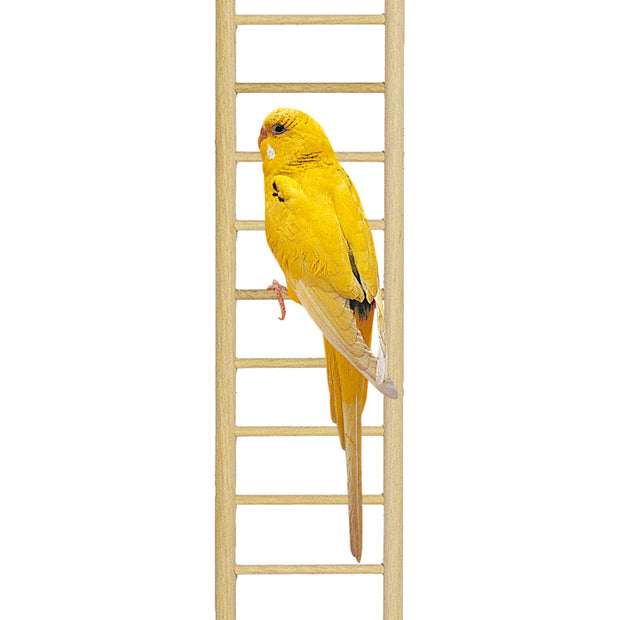 Stairs PA 4002