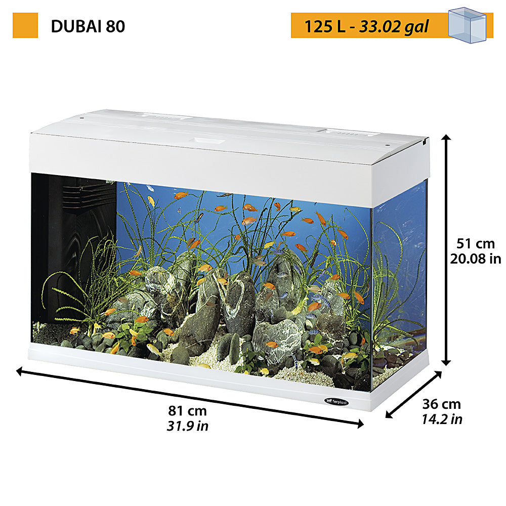 DUBAI 80 LED