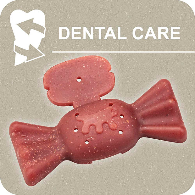 100% SNACK FILLABLE - CANDY YUCCA