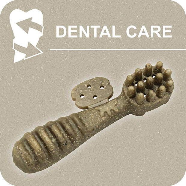 100% SNACK FILLABLE -  TOOTHBRUSH ASCOPHILLUM