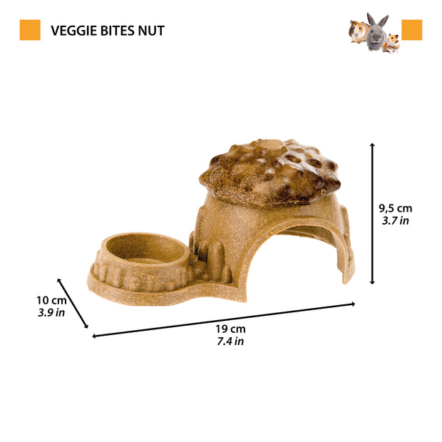 VEGGIE BITES HUT 