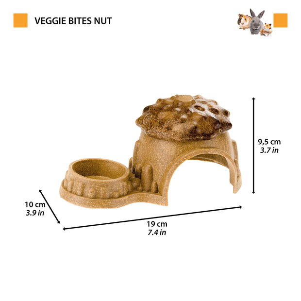 VEGGIE BITES HUT