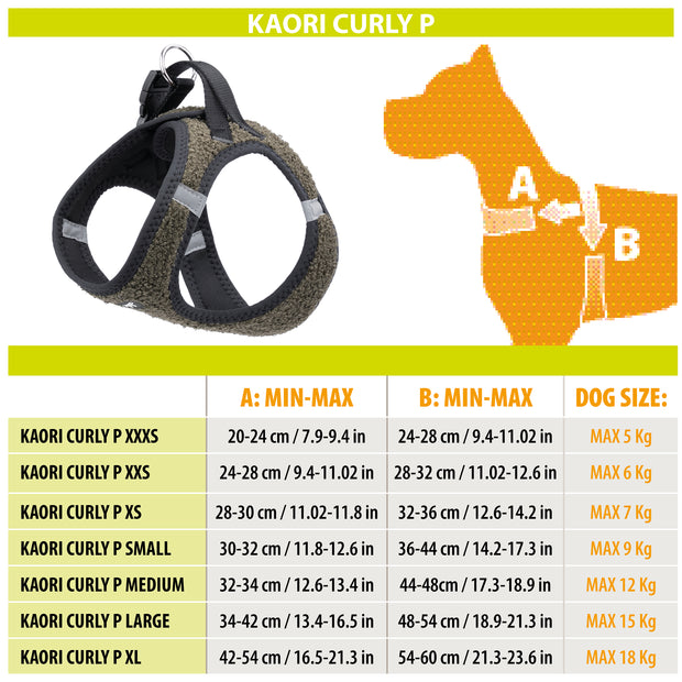 KAORY CURLY P