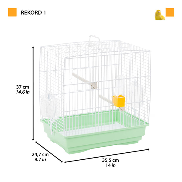 REKORD 1