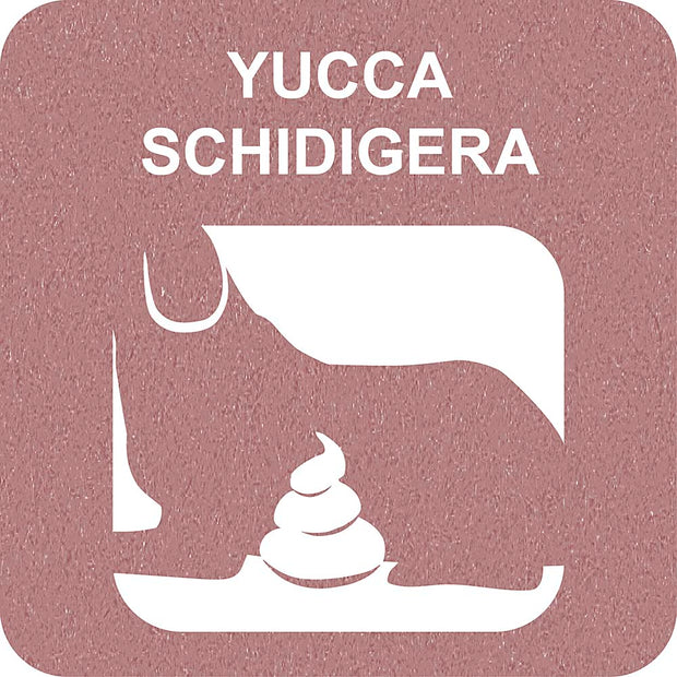 100% SNACK FILLABLE - CANDY YUCCA