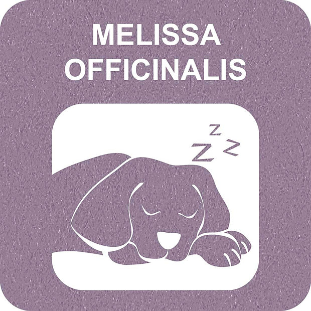 100% SNACK STICKS - SNOWFLAKE MELISSA