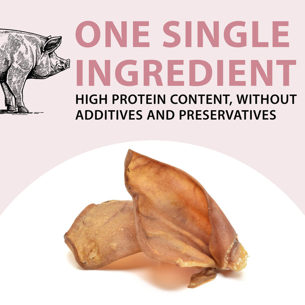 PORK EARS