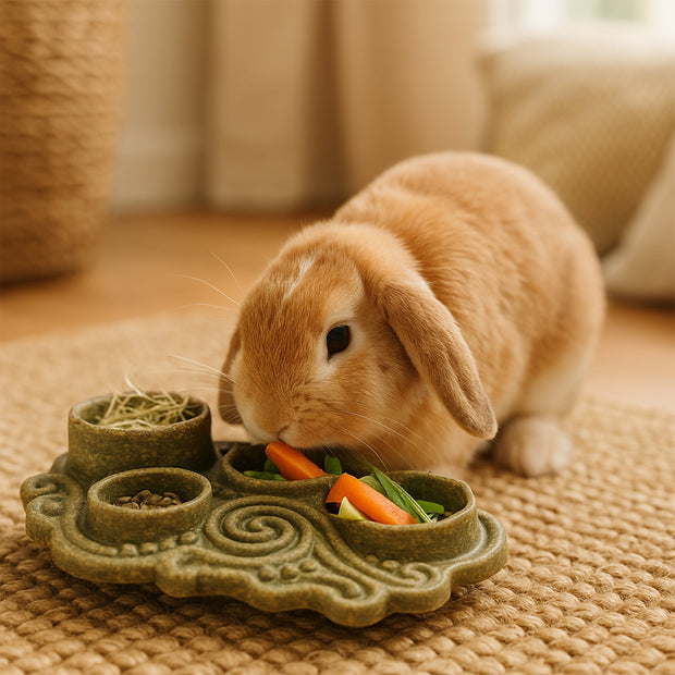 VEGGIE BITES BOWL