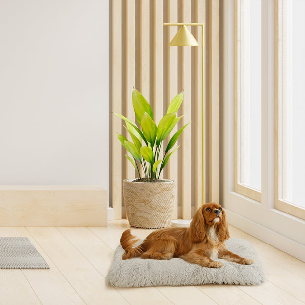 SHANTI Cat & Dog Cushion