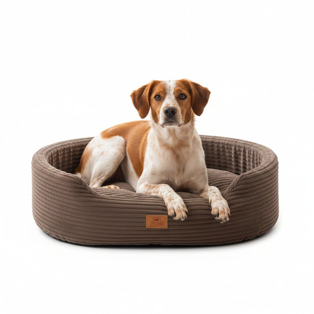 DANDY CORDUROY Sofa-style bed with removable cushion for dogs and cats