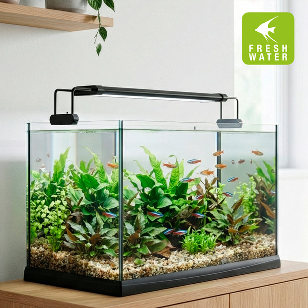 AQ-LUX FRESH Lamp
