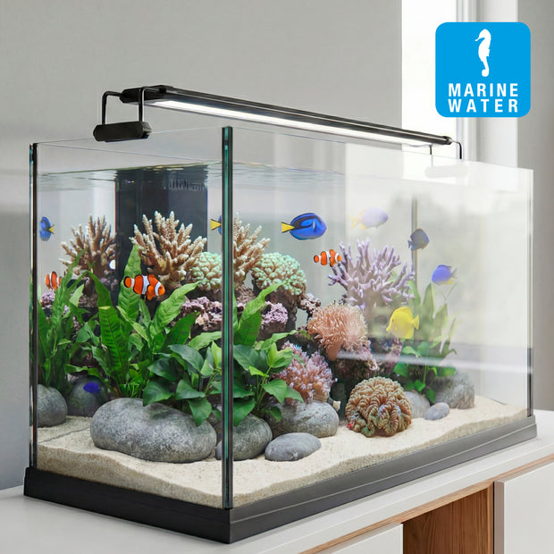 AQ-LUX REEF Lamp