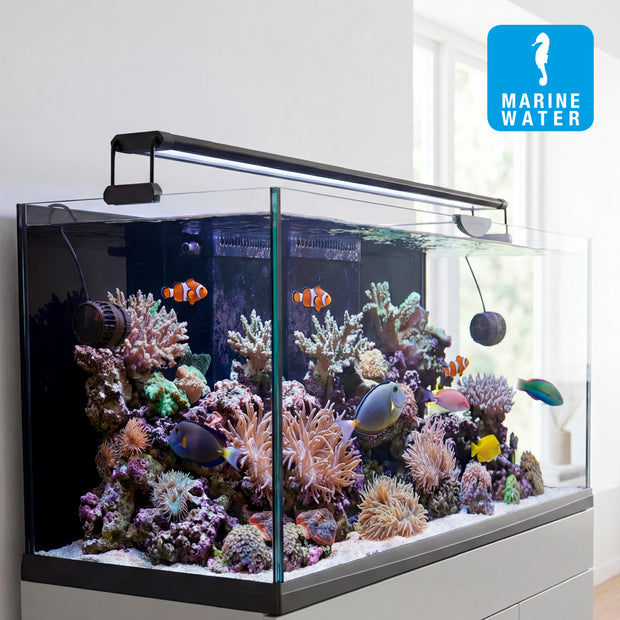 AQ-LUX REEF Lamp