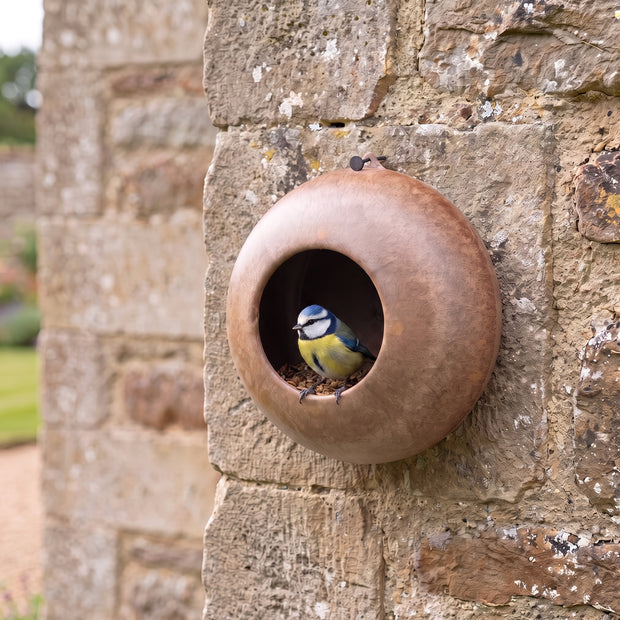 Outdoor feeder for wild birds