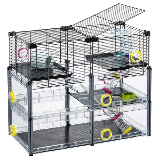MULTIPLA HAMSTER CRYSTAL
