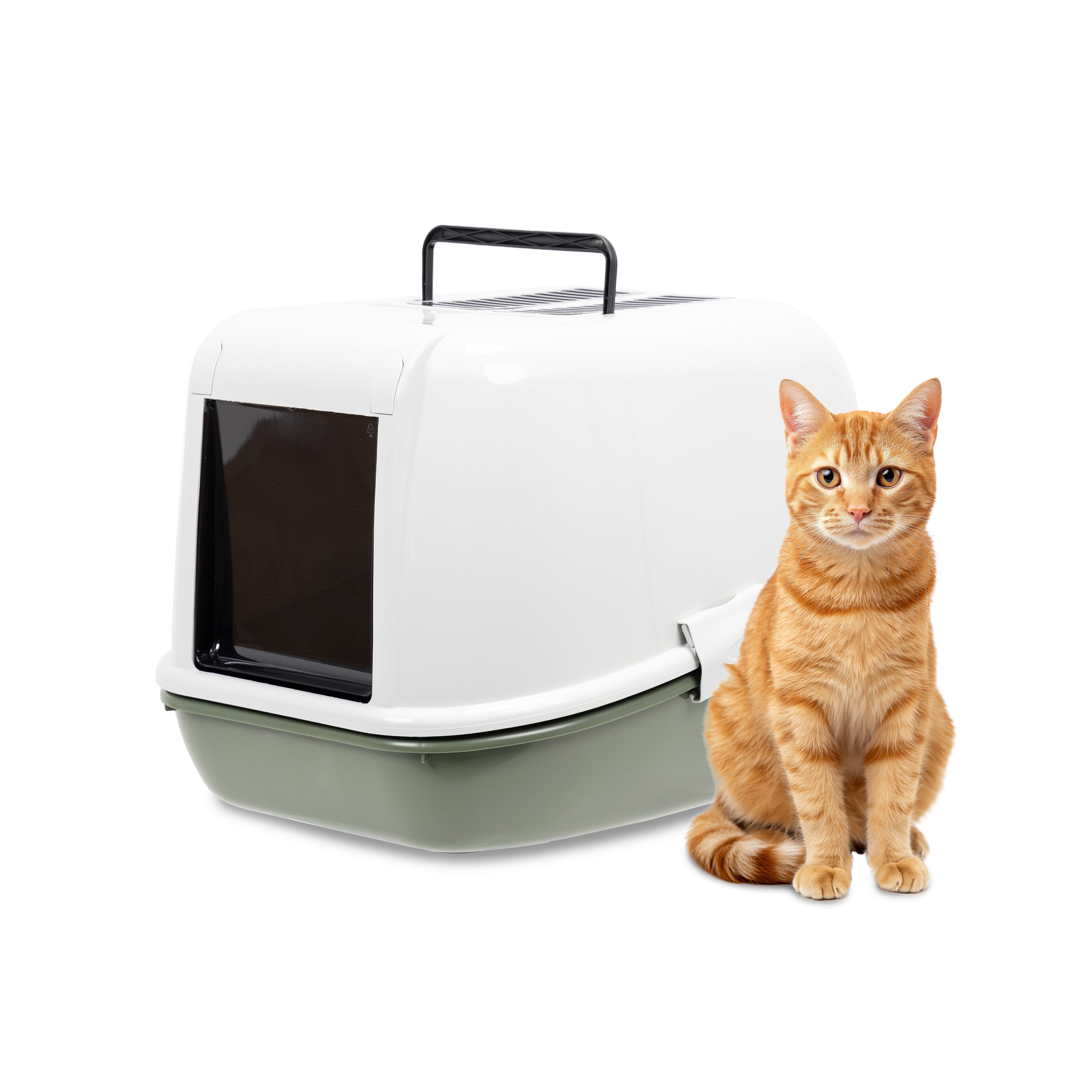 4-0190031042_3600x.jpg?v=