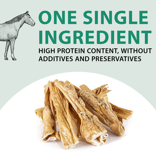 HORSE SKIN