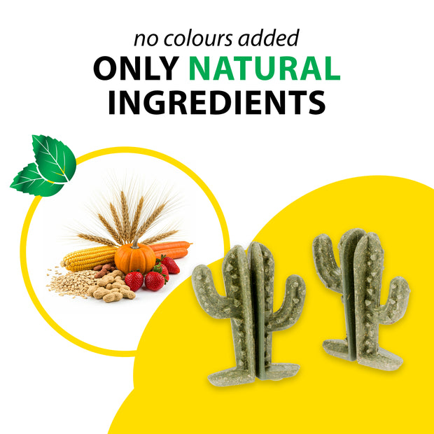 VEGGIE BITES CACTUS    