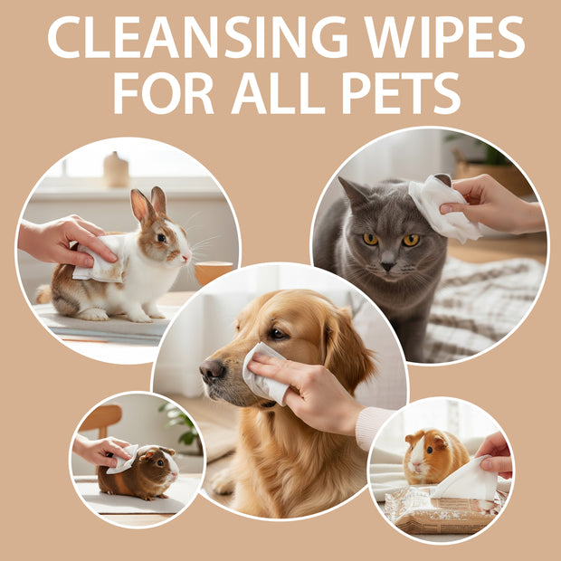 TRAVEL POCKET WIPES FOR DOGS AND CATS NATURÈ (x8)