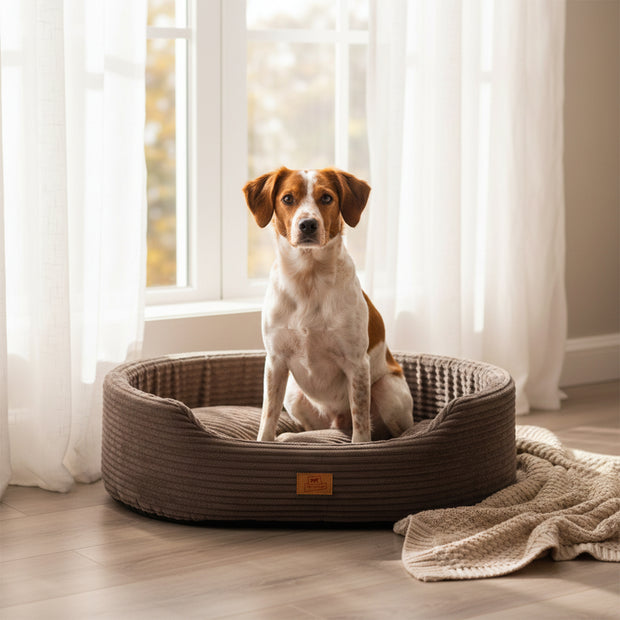 DANDY CORDUROY Sofa-style bed with removable cushion for dogs and cats