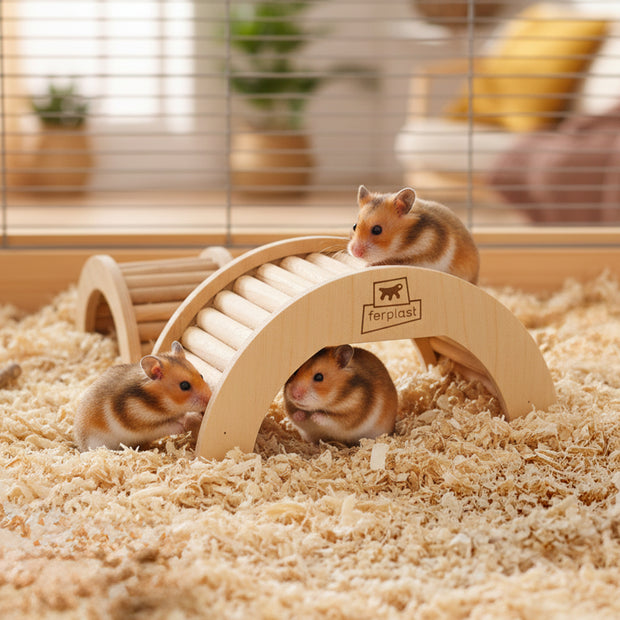 ARCADE ARCH Wooden hamster toy