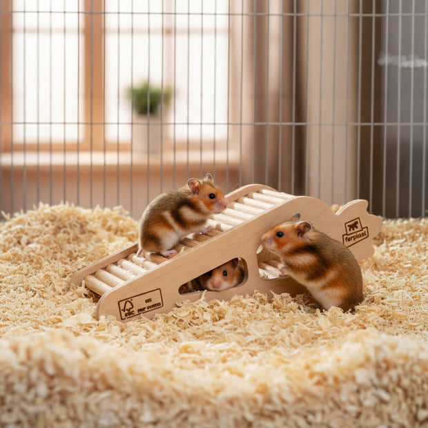 ARCADE CARROT Wooden hamster toy